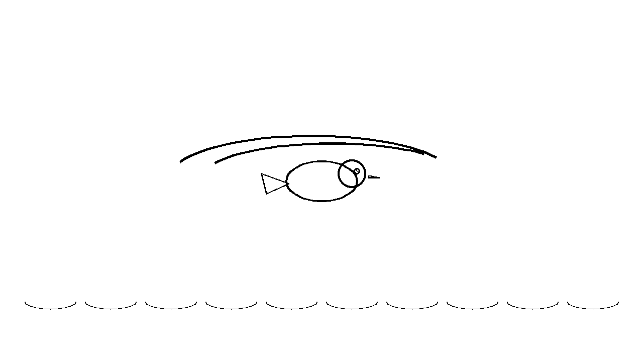 Seagull Ocean Bird Coloring Page