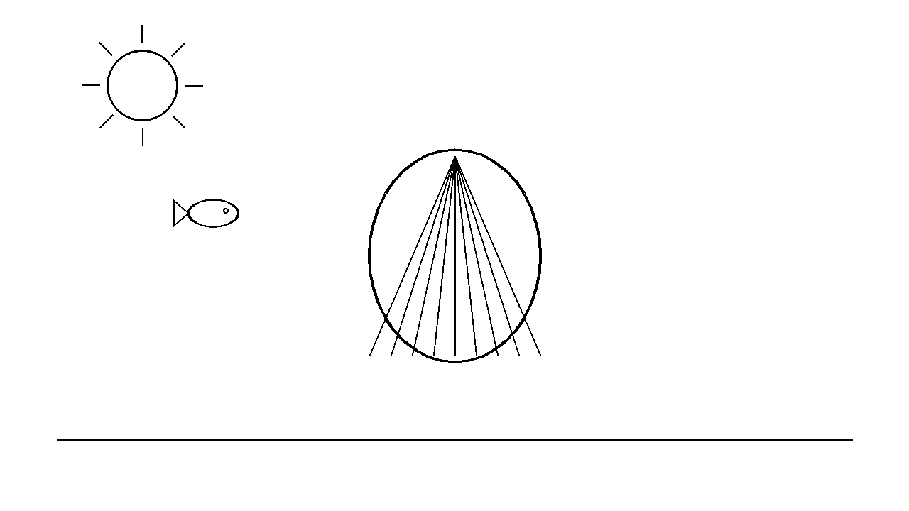 Seashell Birth Motif Coloring Page