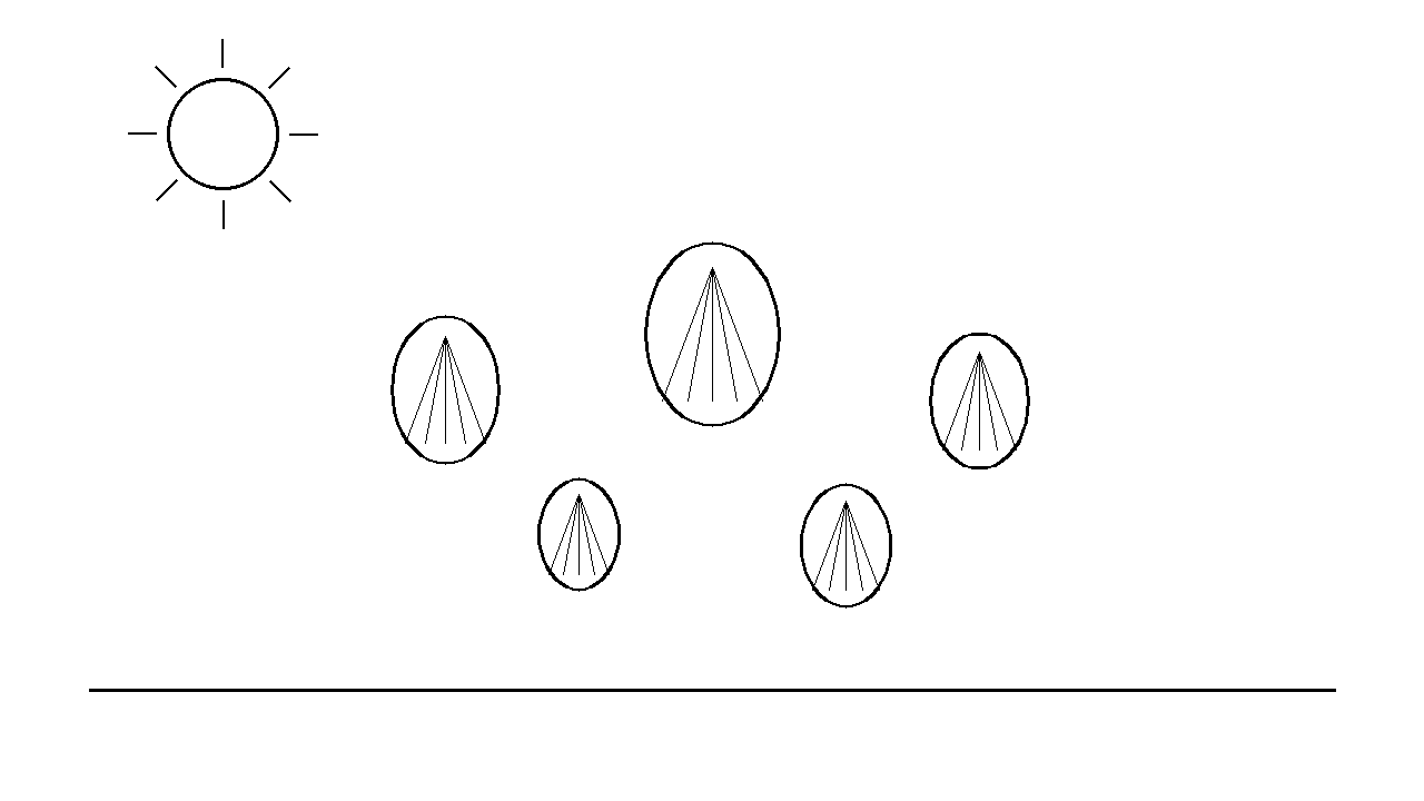 Seashell Collection Coloring Page