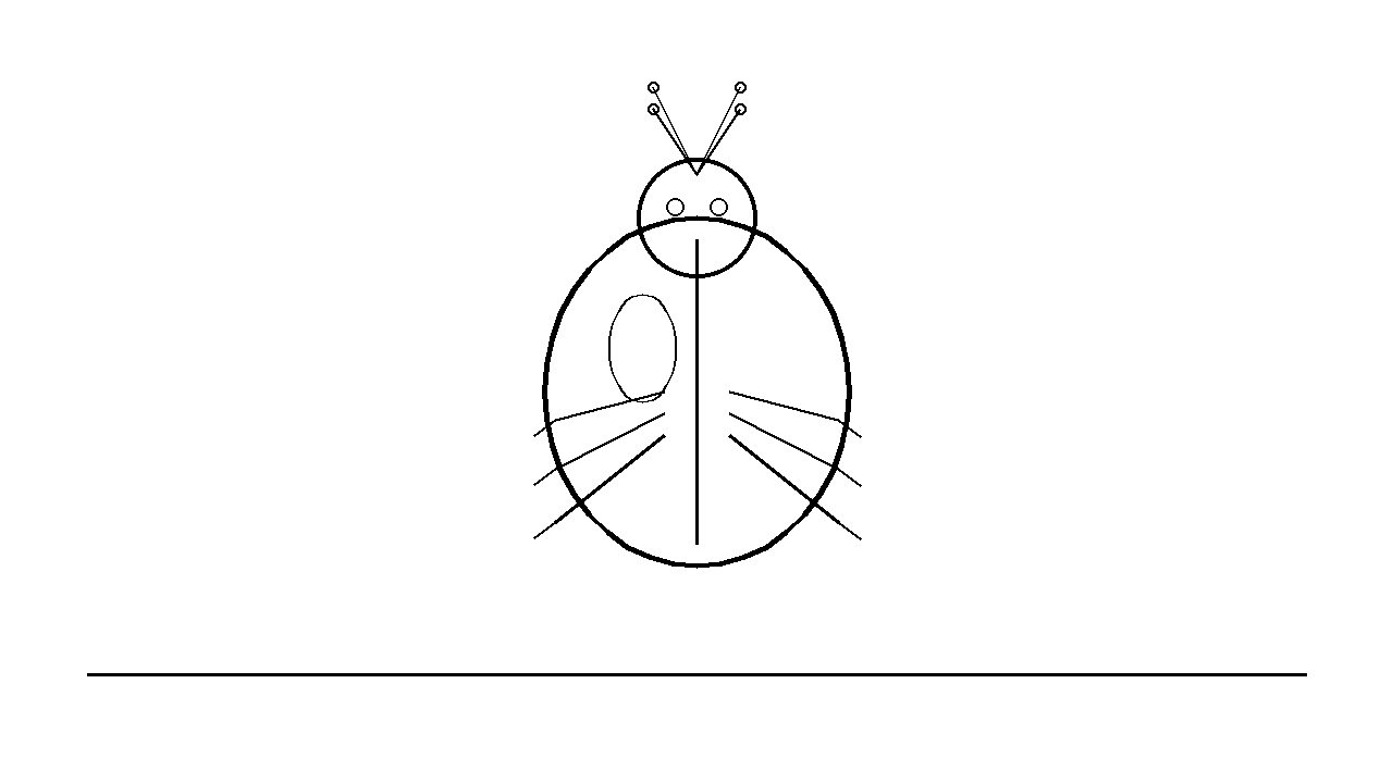 Shiny Beetle Insect Coloring Page