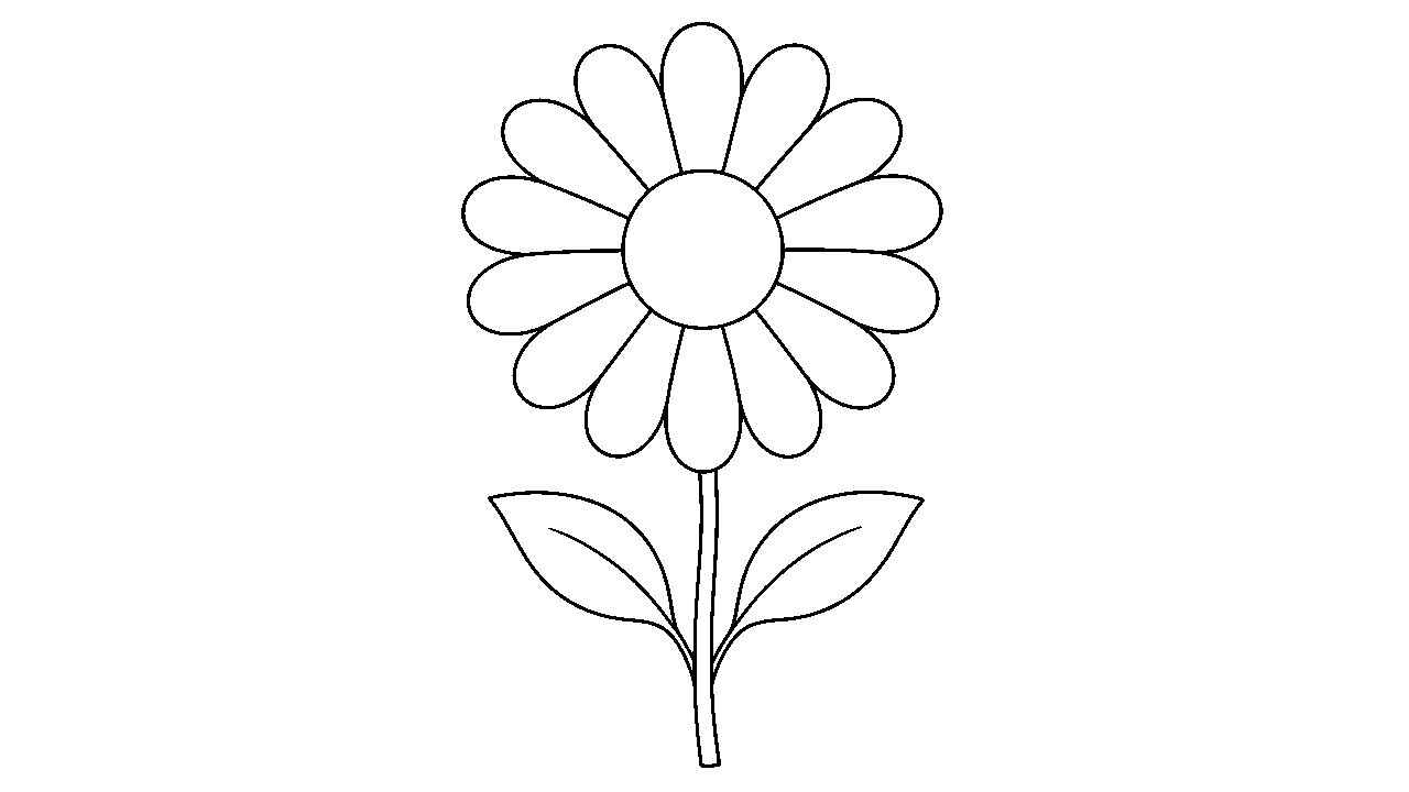 Simple Daisy Flower