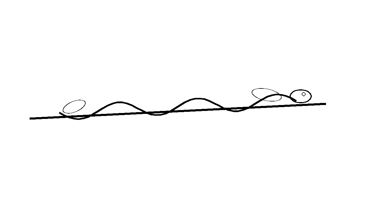 Snake On Branch Coloring Page