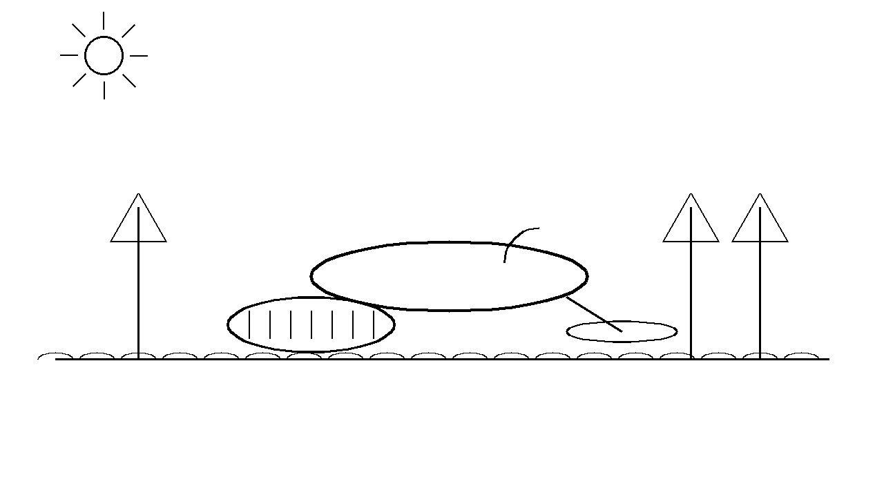 Snowmobile Winter Coloring Page
