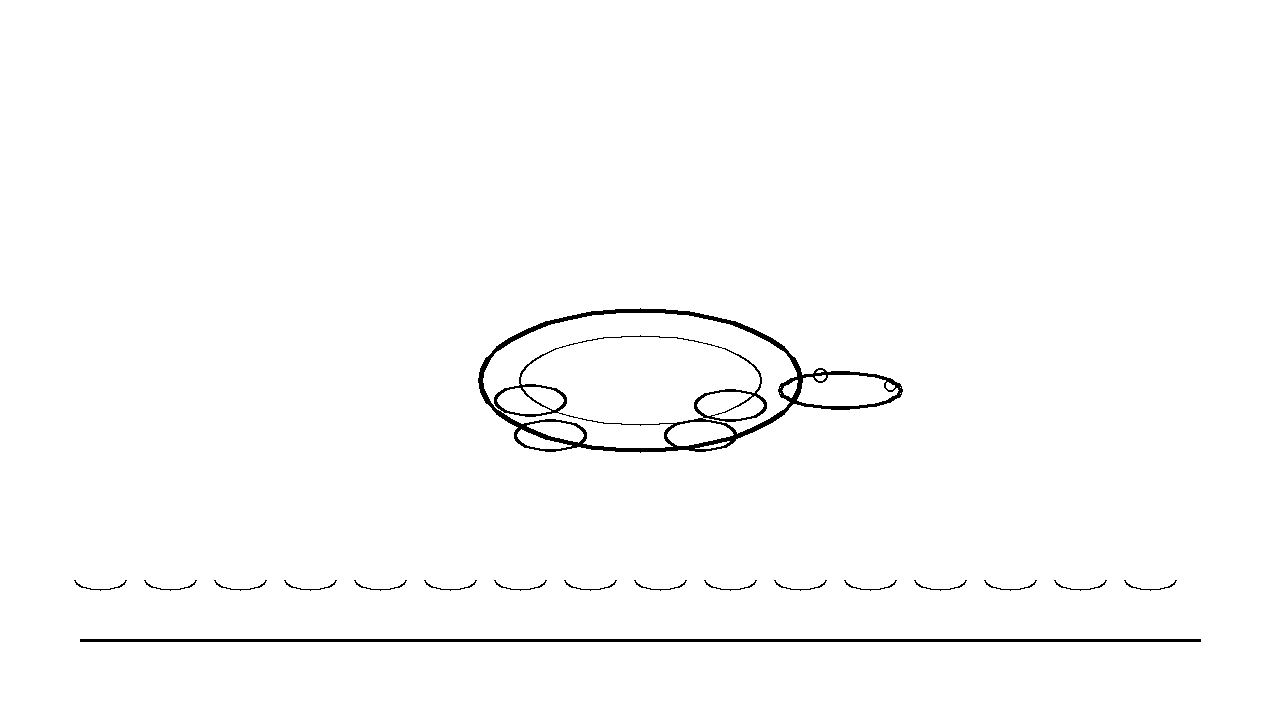 Softshell Turtle Coloring Page