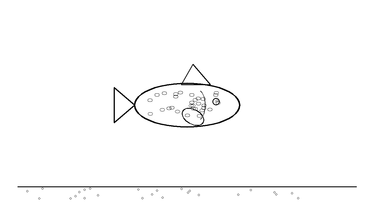 Speckled Trout Fish Coloring Page