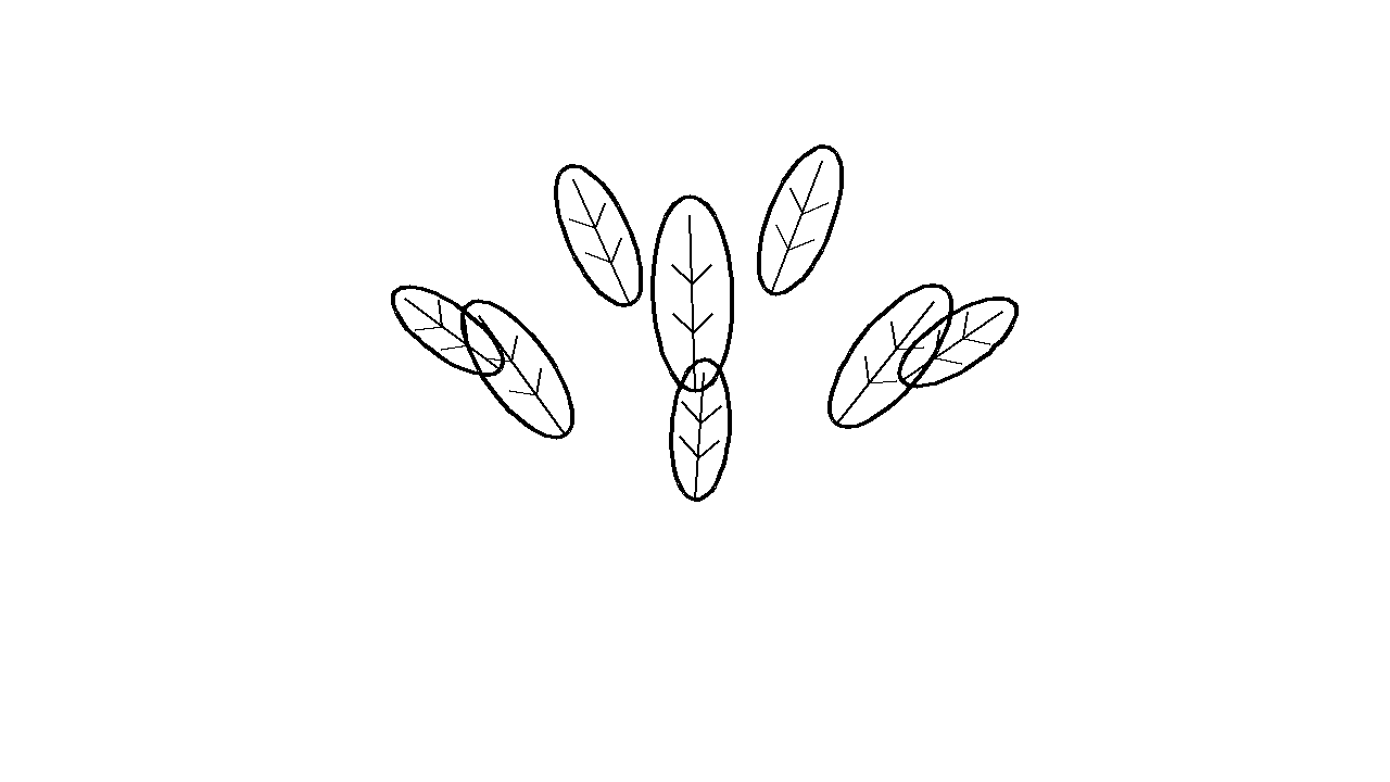 Spinach Leaves Bundle Coloring Page