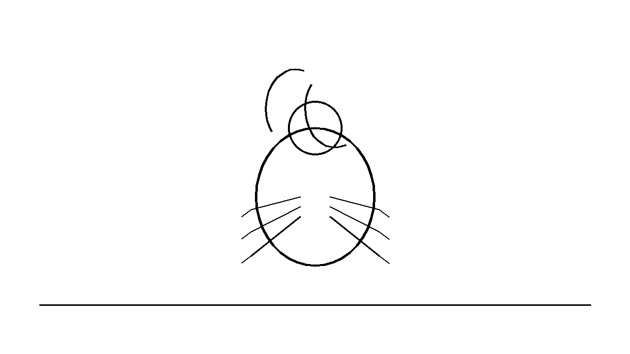 Stag Beetle Mandibles Coloring Page