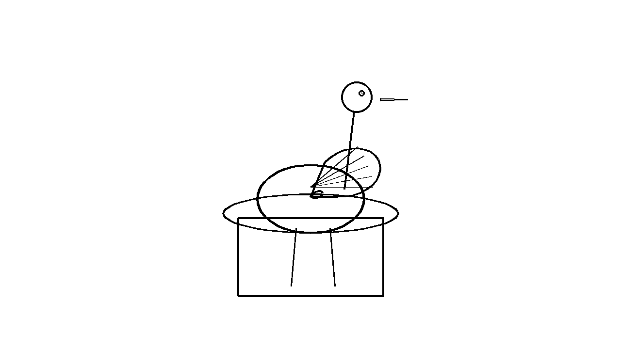 Stork Nest Bird Coloring Page