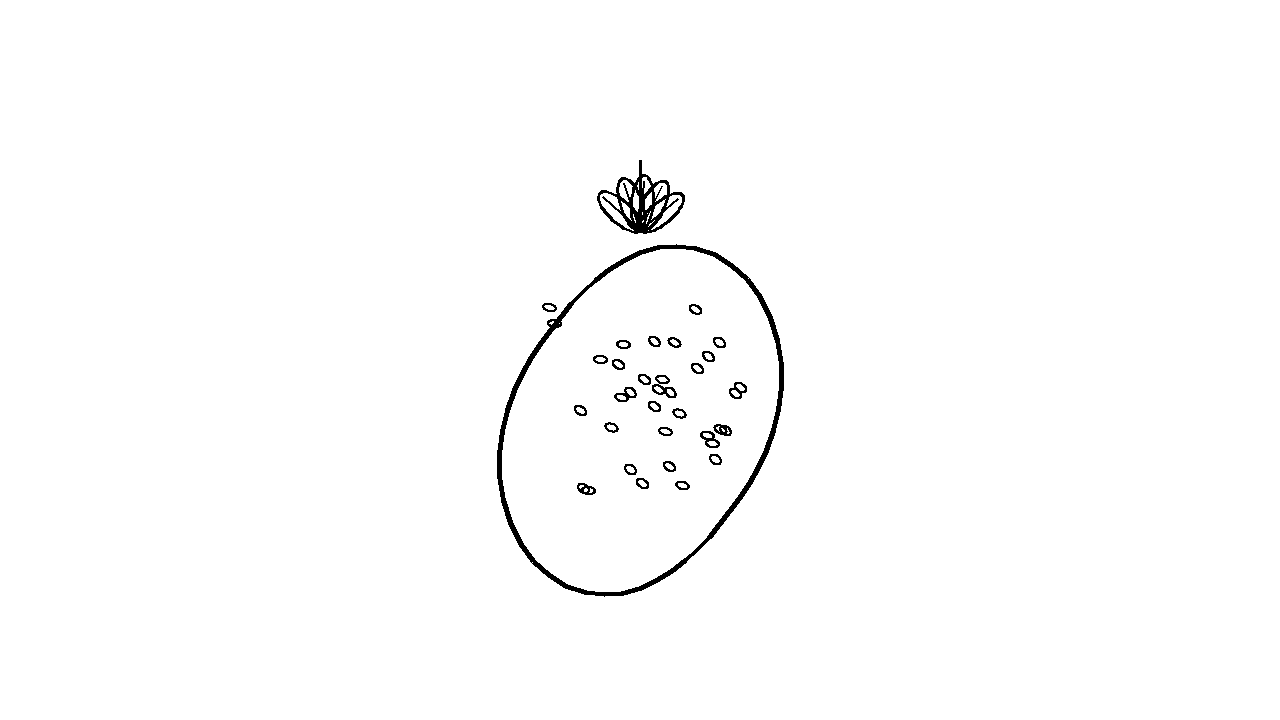 Strawberry Berry Coloring Page