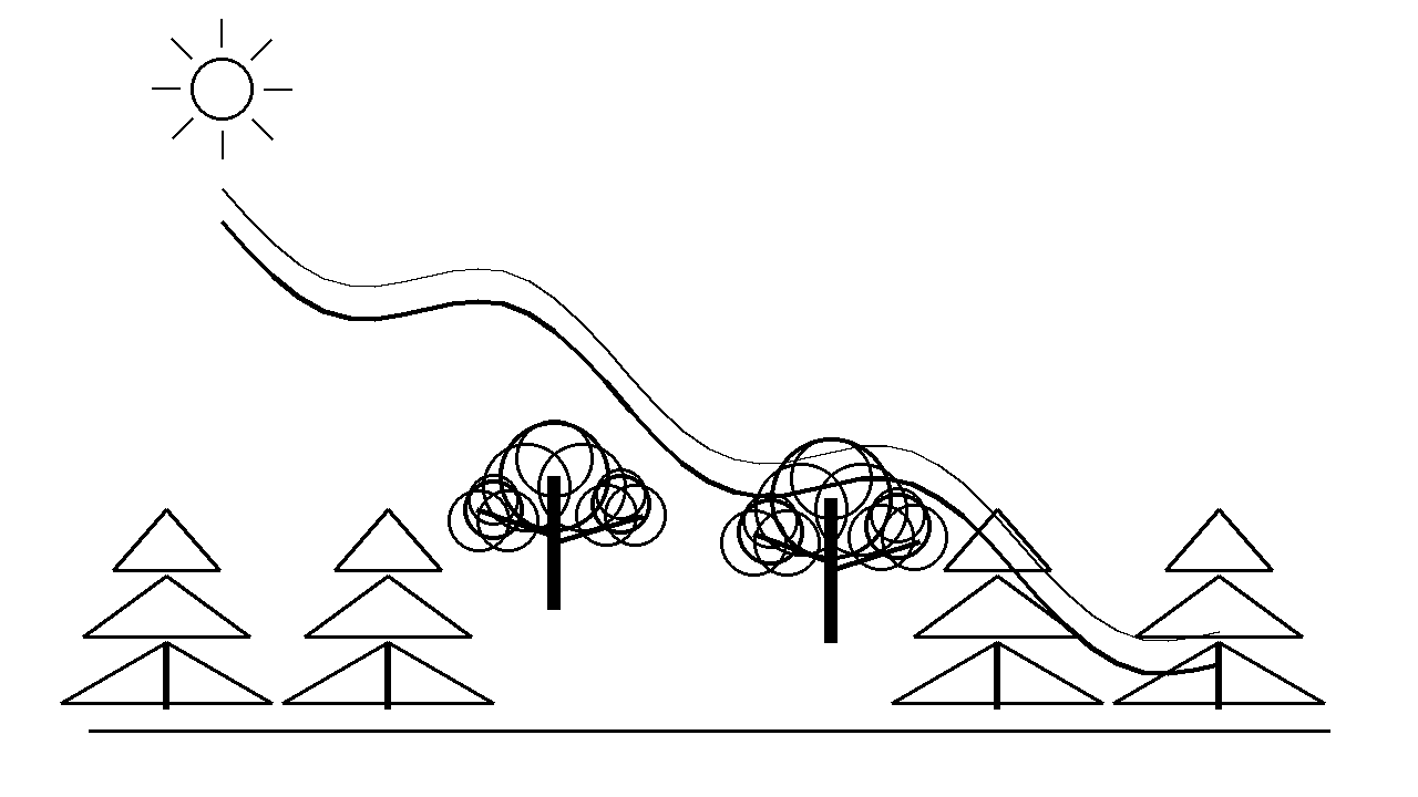 Stream Forest Trees Coloring Page