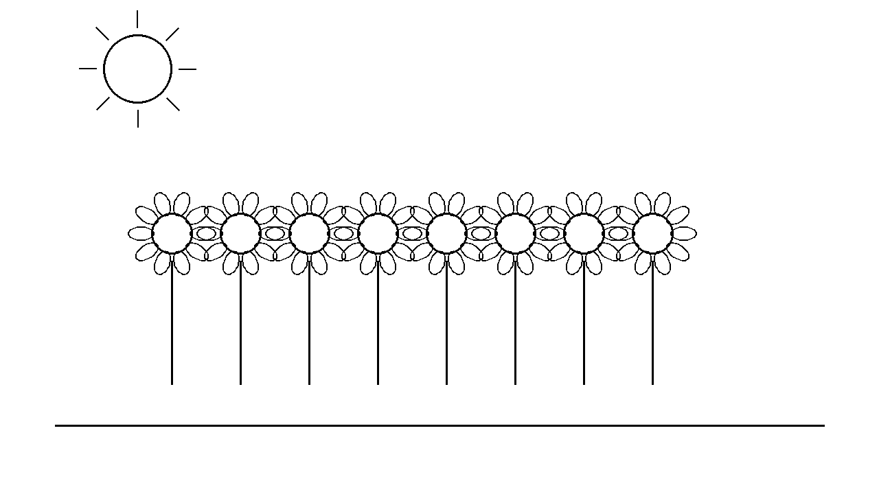 Sunflower Field Coloring Page