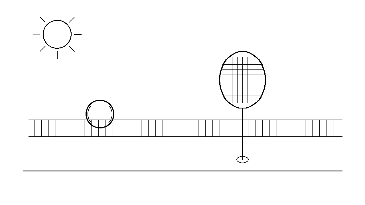 Tennis Racket Ball Coloring Page