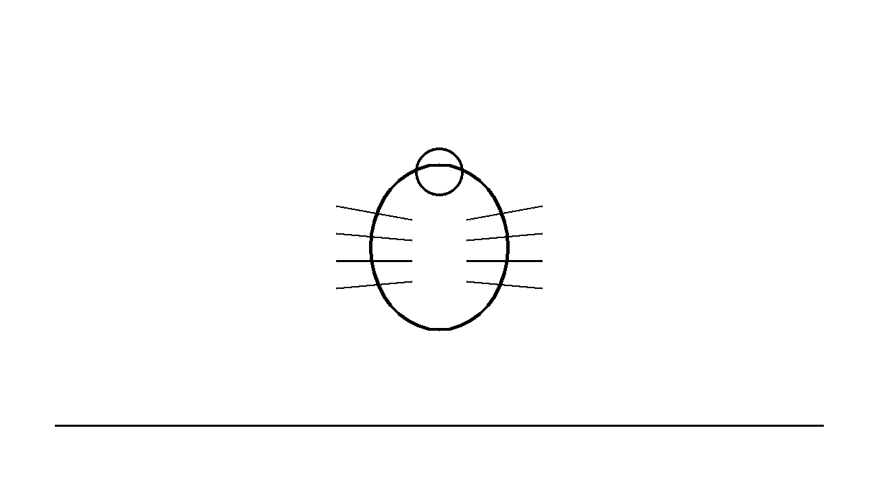 Tiny Tick Insect Coloring Page