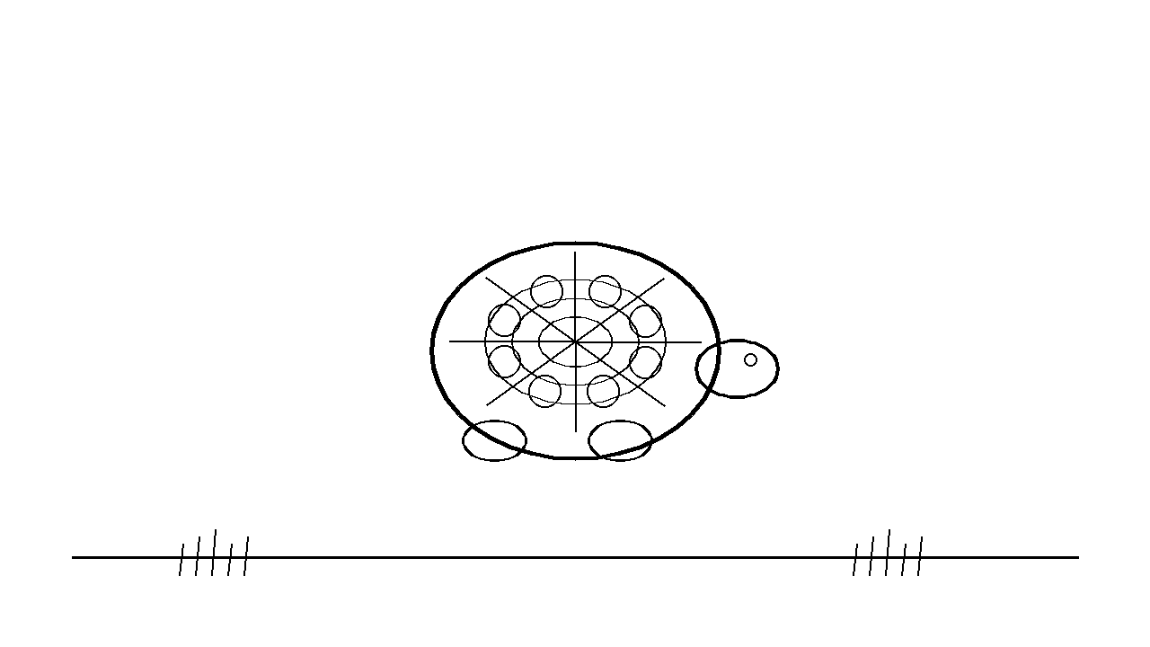 Tortoise Patterned Shell Coloring Page