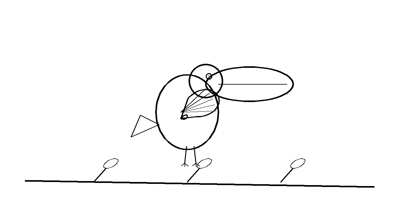 Toucan Big Beak Coloring Page