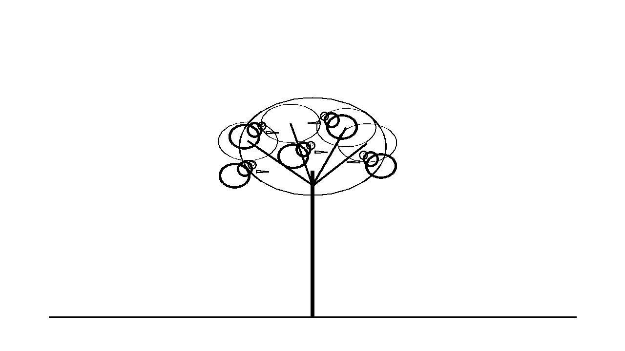Tree Full Of Birds Coloring Page