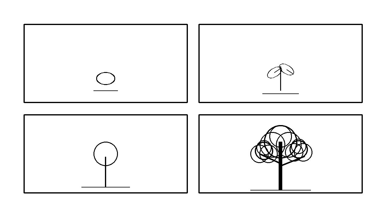 Tree Growth Stages Coloring Page
