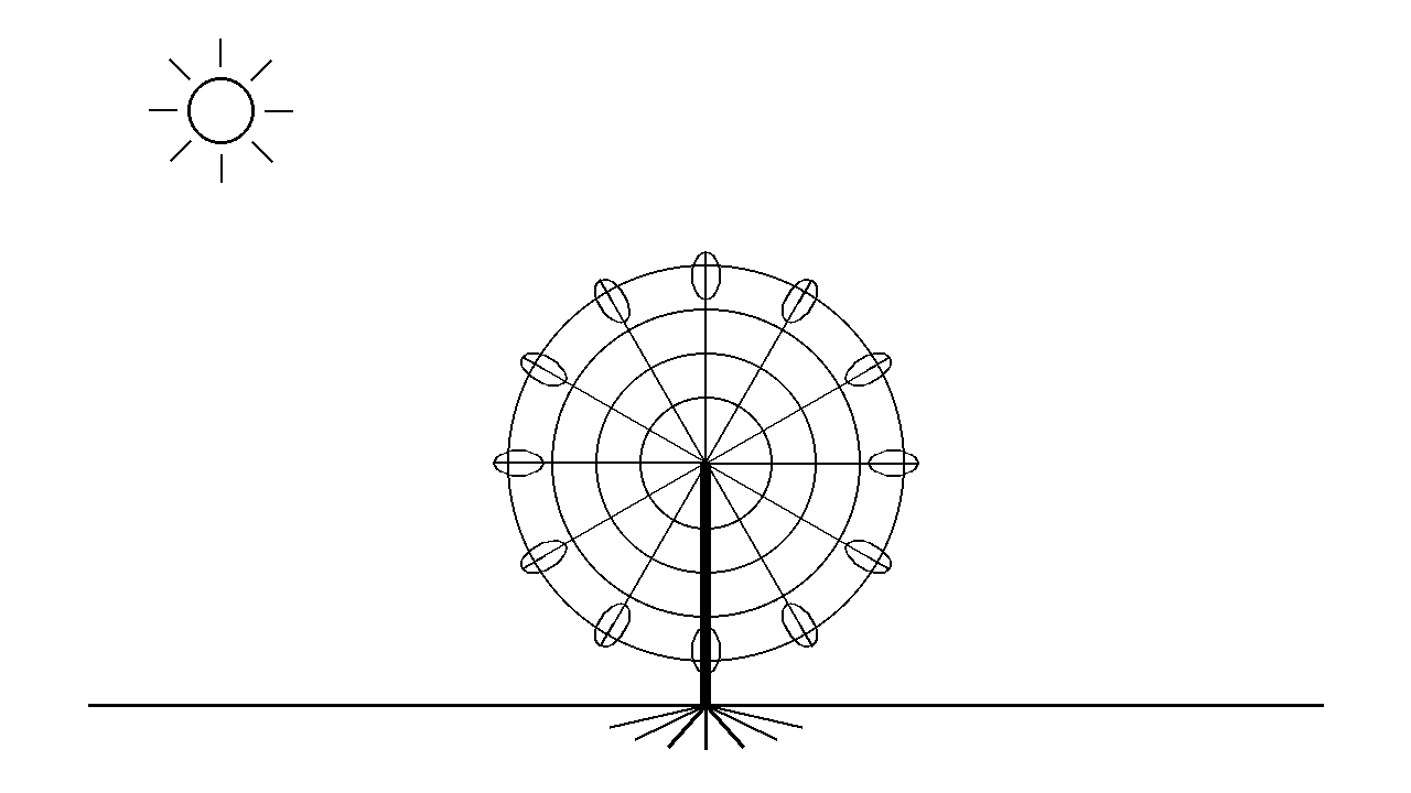 Tree Of Life Pattern Coloring Page
