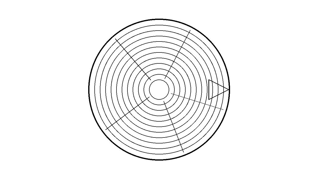 Tree Ring Stump Coloring Page