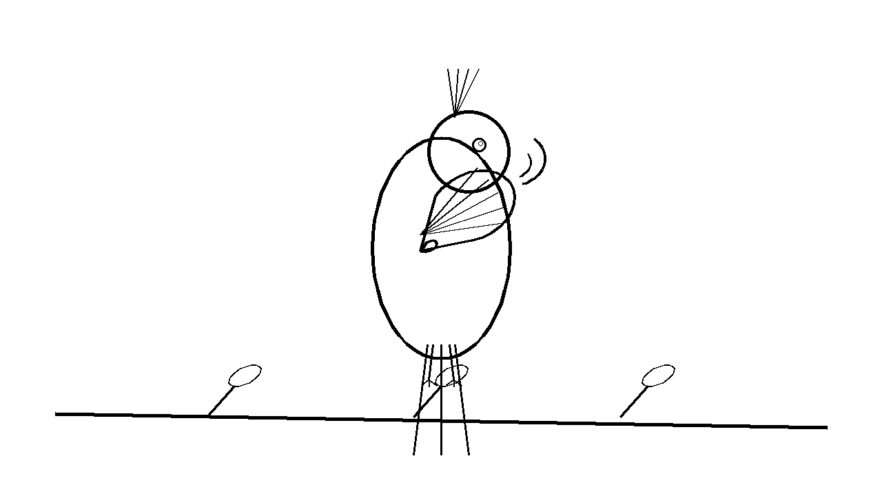 Tropical Parrot Bird Coloring Page