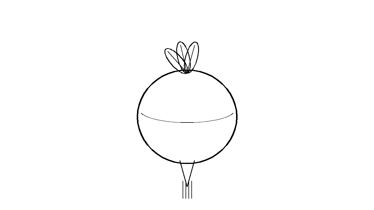 Turnip Root Vegetable Coloring Page