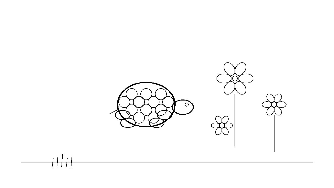 Turtle And Flower Coloring Page