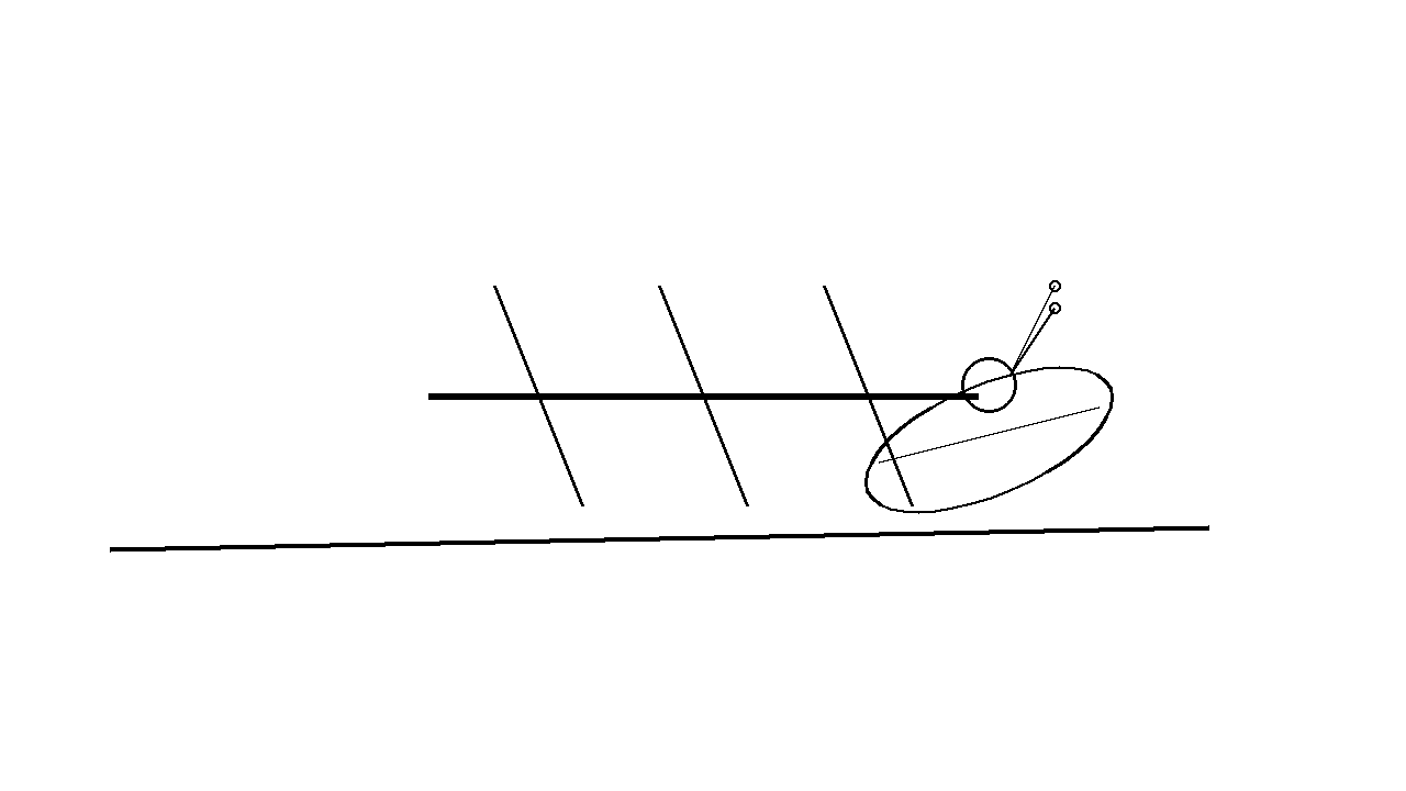 Walking Stick Insect Coloring Page