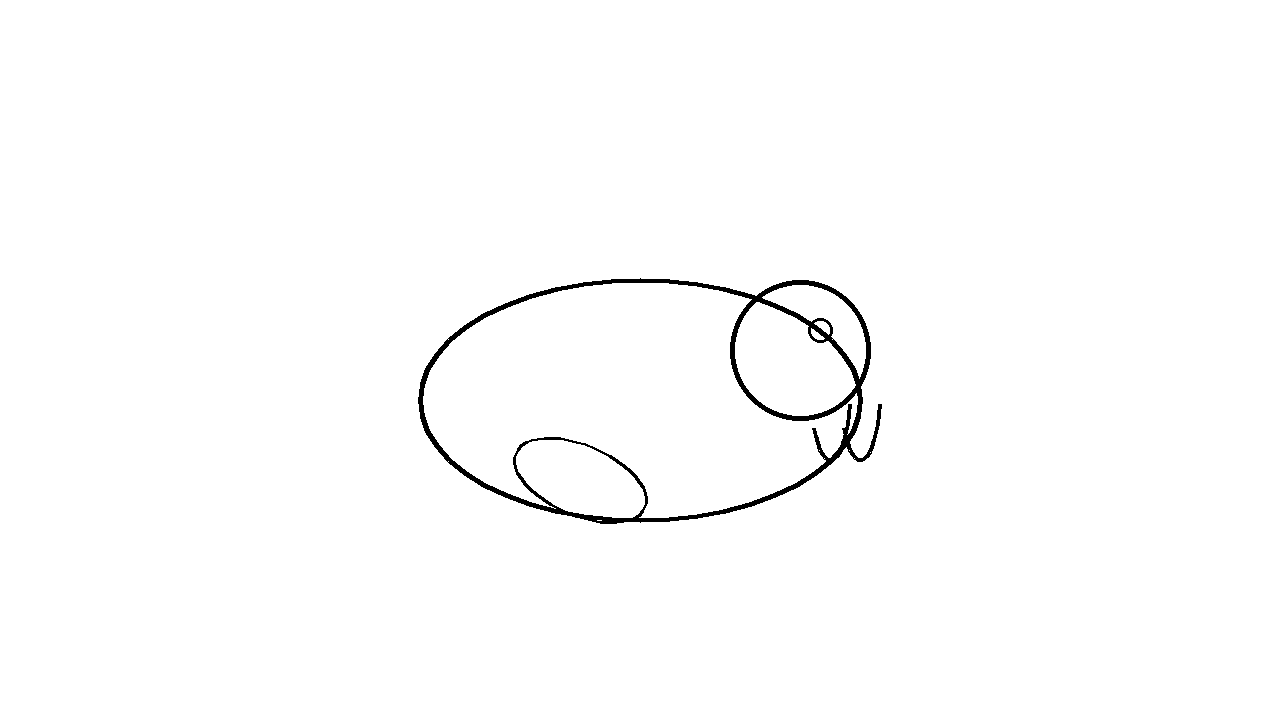 Walrus With Tusks Coloring Page