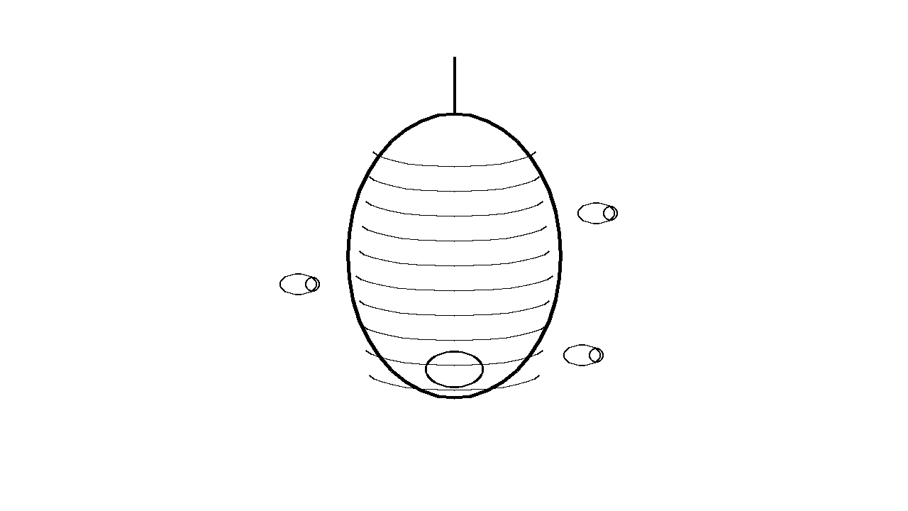Wasp Nest Paper Coloring Page