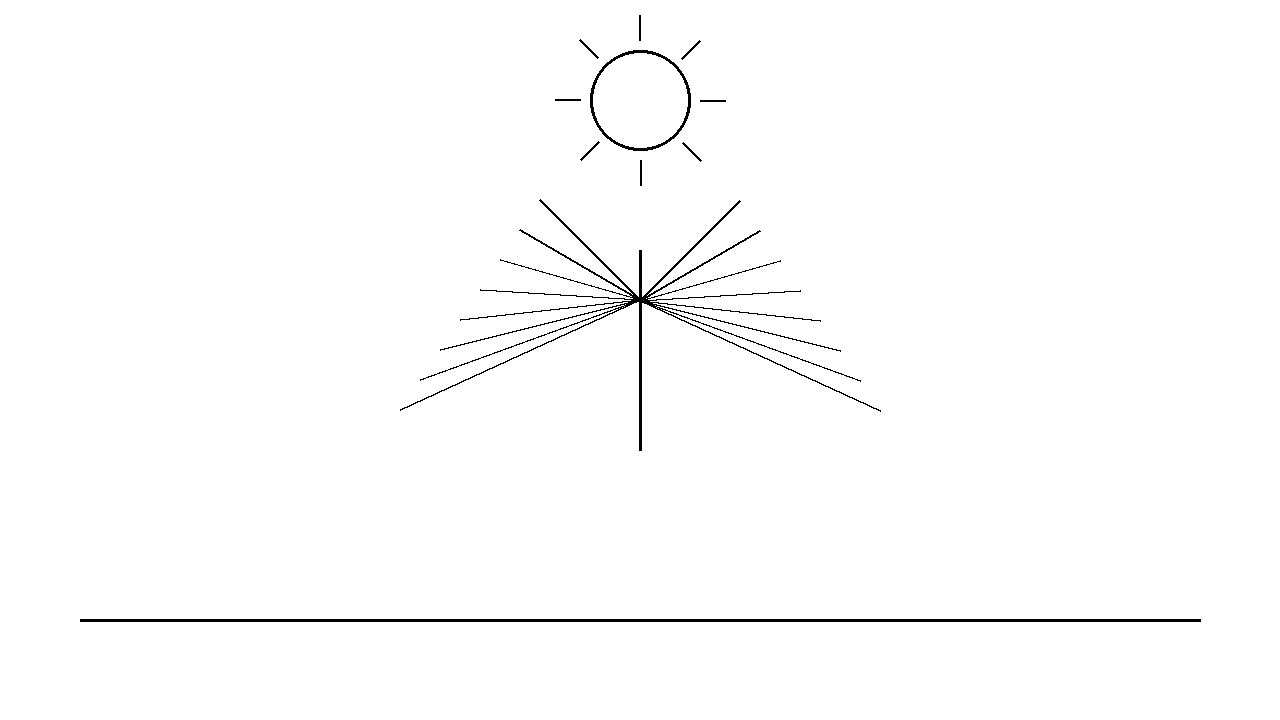 Wax Wing Frame Coloring Page