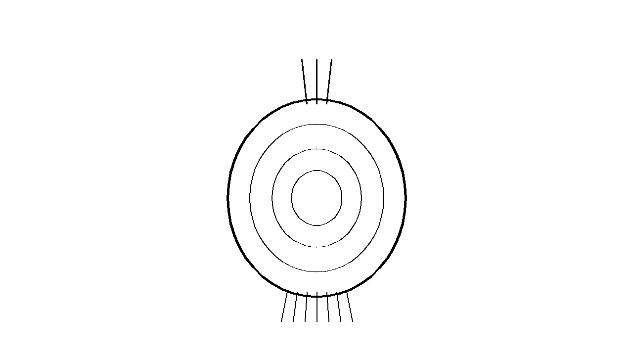 Whole Onion Bulb Coloring Page