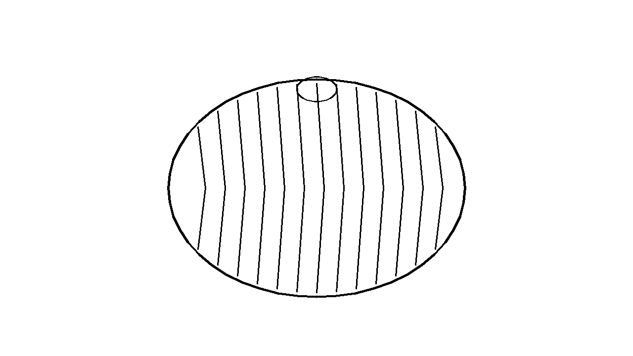 Whole Watermelon Coloring Page