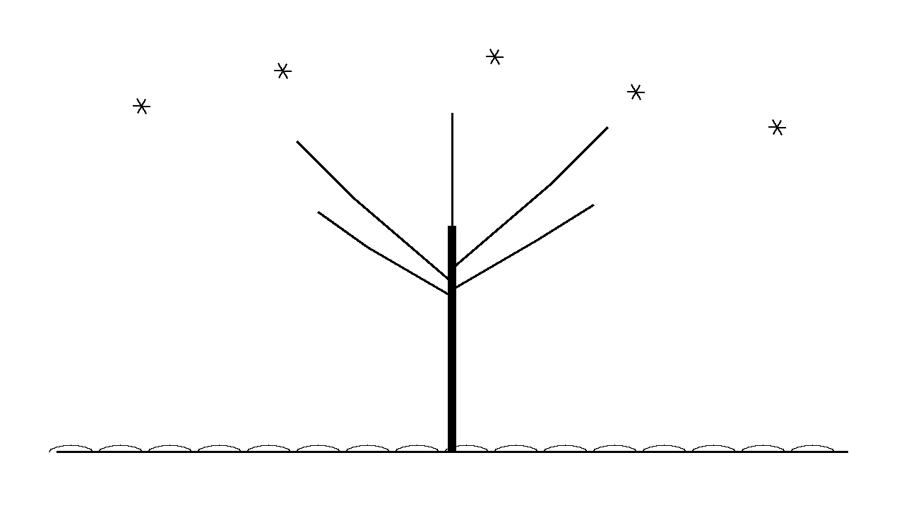 Winter Bare Oak Coloring Page