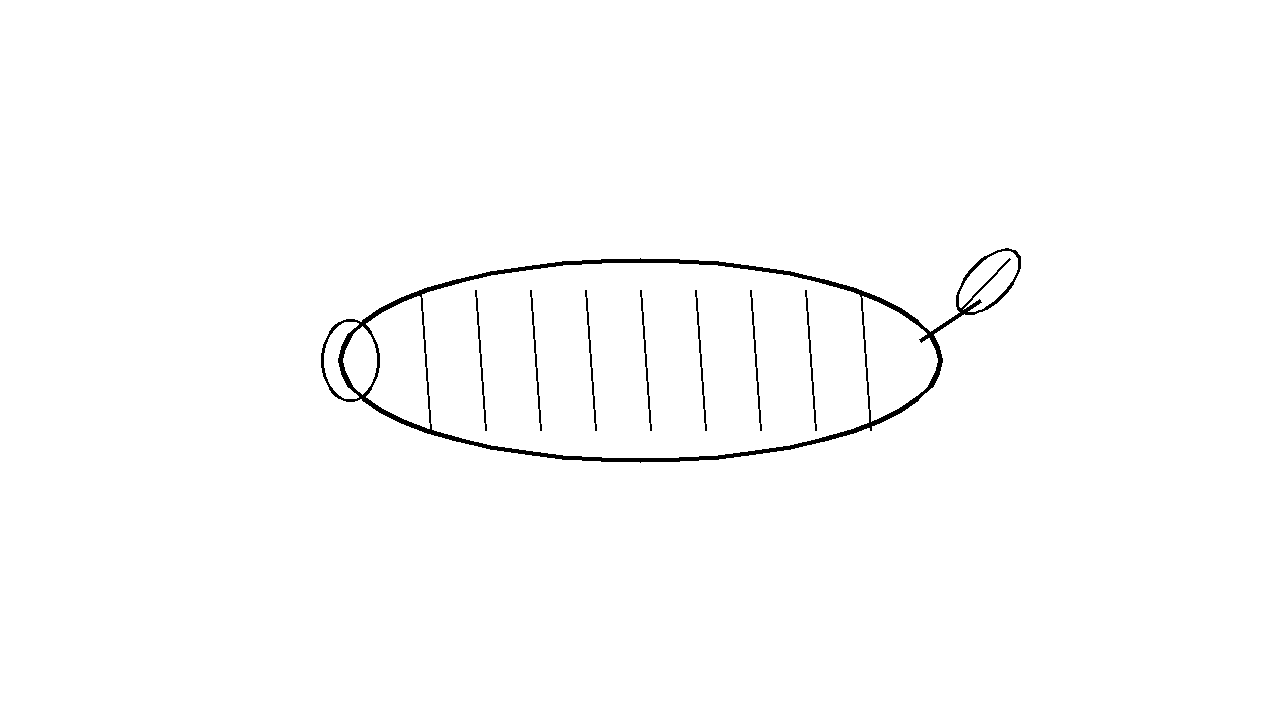 Zucchini Squash Coloring Page